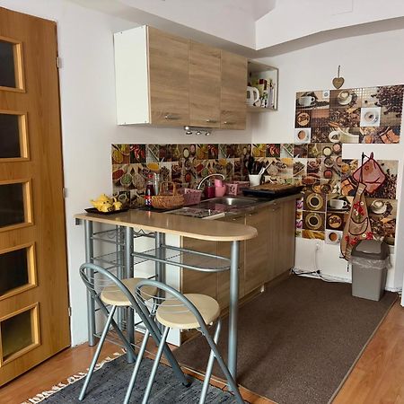 Apartment Ela Centre Kosice Bagian luar foto
